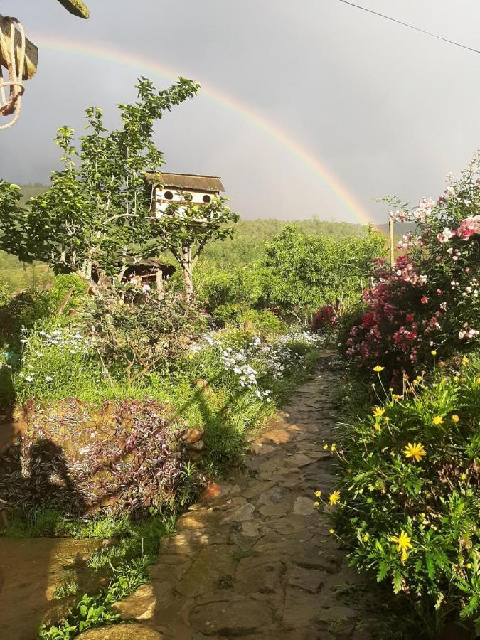 H'Mong Co Tran Sapa Homestay מראה חיצוני תמונה