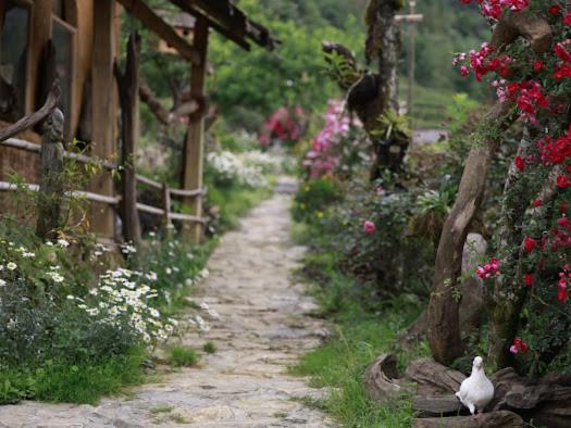 H'Mong Co Tran Sapa Homestay מראה חיצוני תמונה
