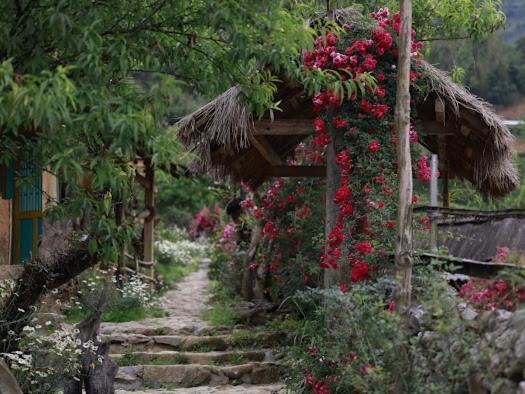 H'Mong Co Tran Sapa Homestay מראה חיצוני תמונה