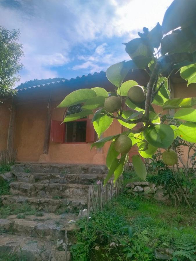 H'Mong Co Tran Sapa Homestay מראה חיצוני תמונה