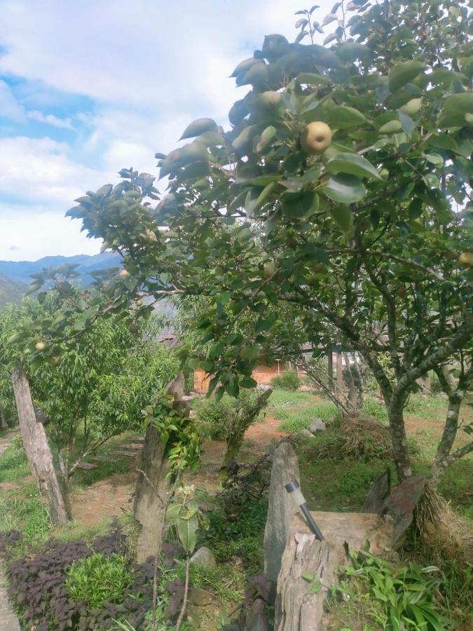 H'Mong Co Tran Sapa Homestay מראה חיצוני תמונה