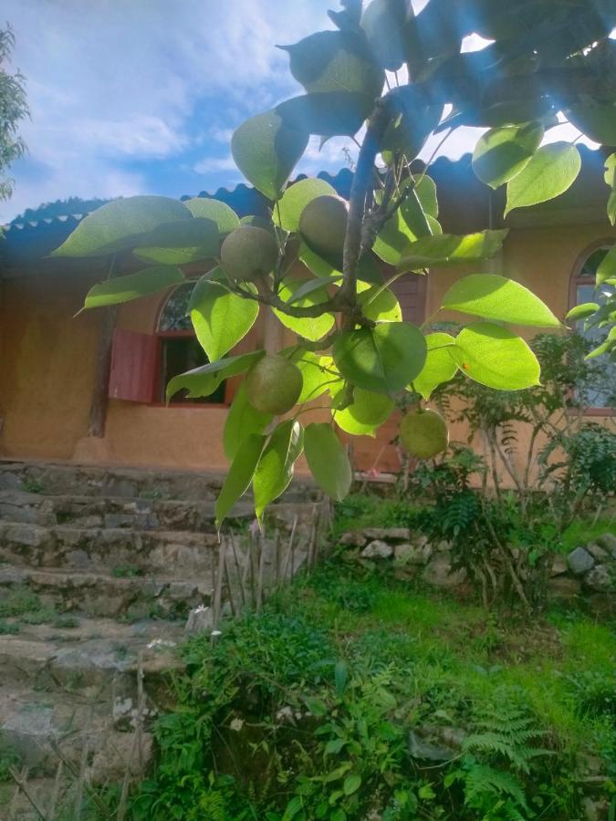 H'Mong Co Tran Sapa Homestay מראה חיצוני תמונה