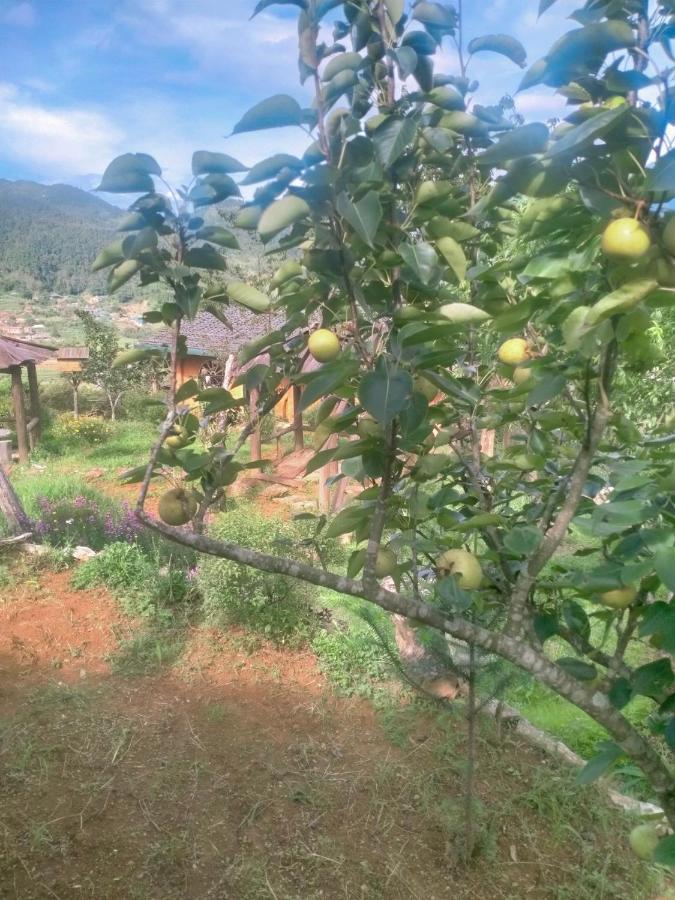 H'Mong Co Tran Sapa Homestay מראה חיצוני תמונה