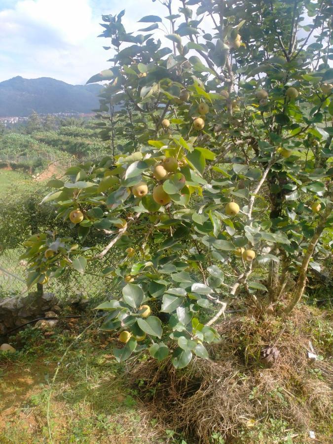 H'Mong Co Tran Sapa Homestay מראה חיצוני תמונה